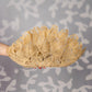 ALISADUDAJ Çantro beige crochet-lace clutch bag in polyester resin, front view held against a grey leaf-patterned background