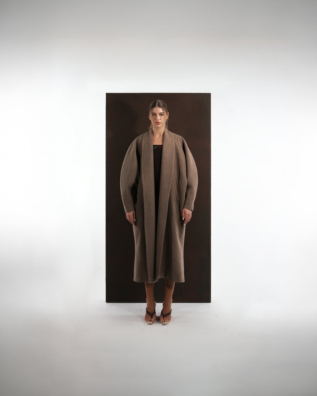ALISADUDAJ taupe wool shawl-collar oversized coat, front view, full length, worn open over a dark dress
